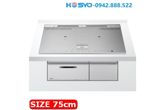 Bếp từ Hitachi HT-N8STWF