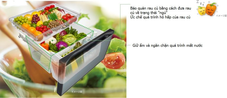 tủ lạnh Hitachi R-HXCC62V