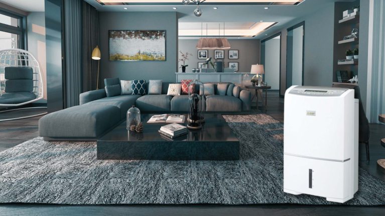 máy hút ẩm Mitsubishi MJ-PV250WX