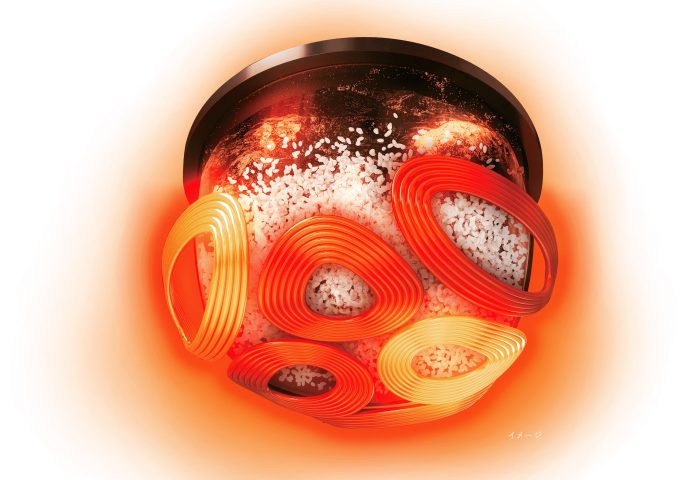 nồi cơm điện Zojirushi NW-FC10