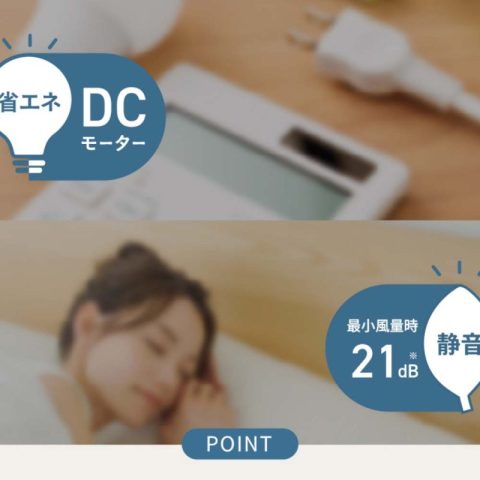 Quạt Cây TOYOTOMI FS-DH30P